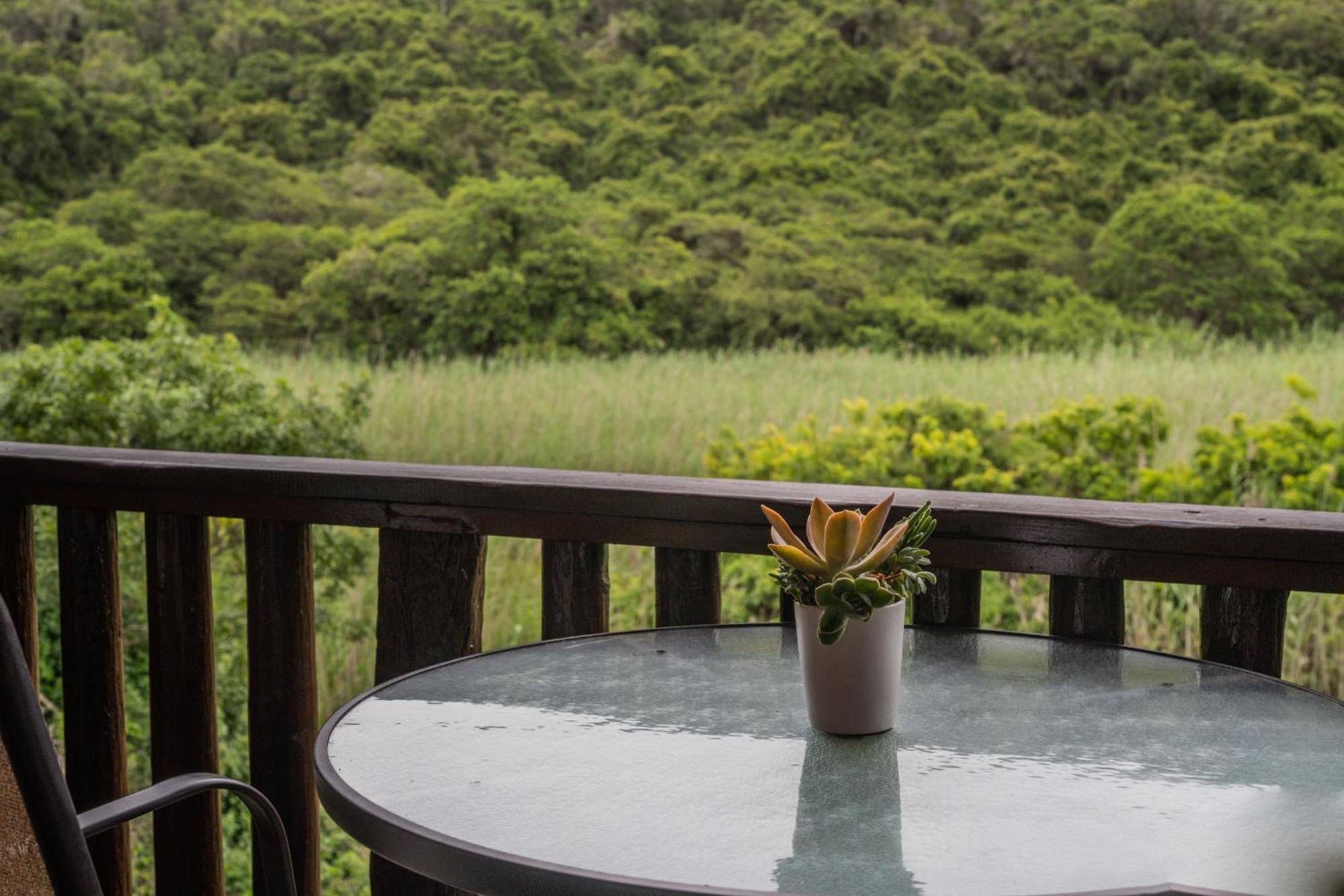 Beachview Thunzi Bush Lodge מראה חיצוני תמונה