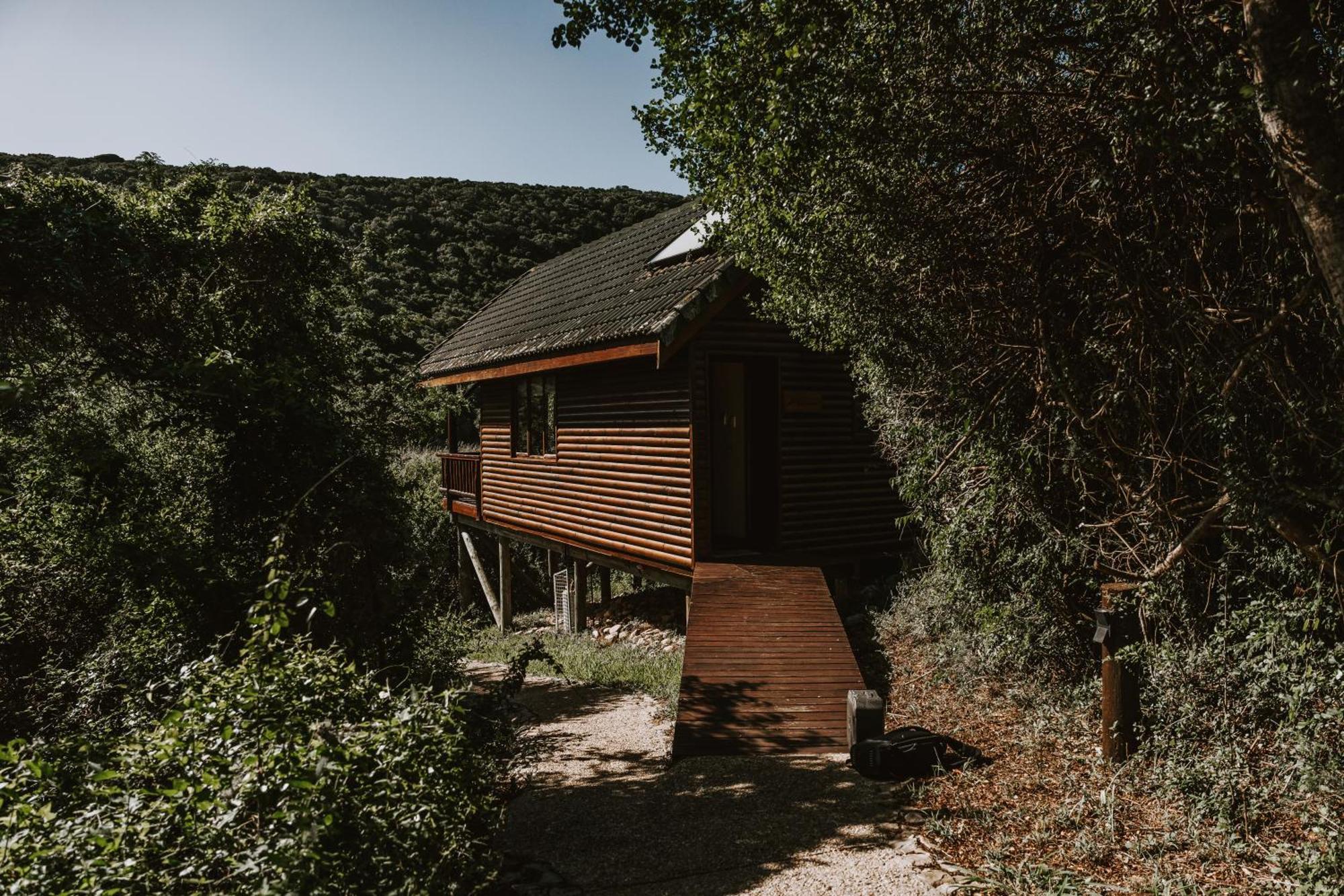 Beachview Thunzi Bush Lodge מראה חיצוני תמונה